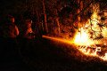 Smoke From Forest Fires Spread In Chile, Causes Health Risks